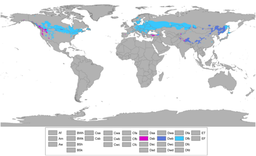 Mapa mundial que muestra el subtipo de verano templado