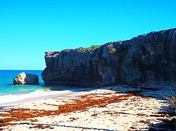 Acantilados costeros de Barbados