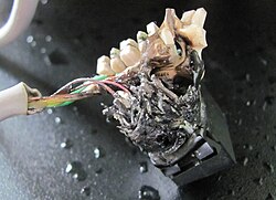 Cortocircuito ocasionado por agua en un conector RJ45