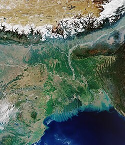 Imagen representativa del delta del Ganges.