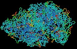 Estructura química de un polipéptido como ejemplo de macromolécula