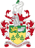 Escudo de armas de Ashford