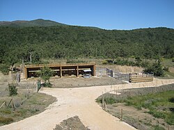 Reserva del Bisonte Europeo en San Cebrián de Mudá