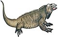 Filogenia de los reptiles escamosos