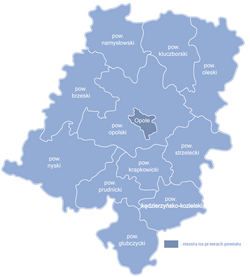 Divisiones administrativas del voivodato de Opole