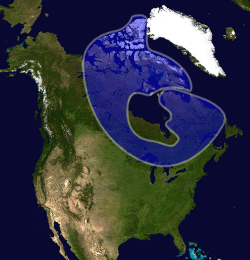 Mapa que señala la ubicación del Escudo Canadiense