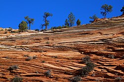 Areniscas con estratificación cruzada en el parque nacional Zion