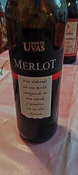 Vino merlot Manchego