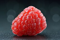 Fruto maduro de frambuesa mostrando su estructura detallada