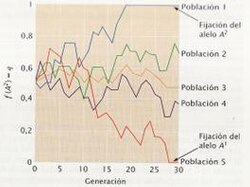 Gráfica de simulación de fijación de alelos