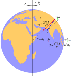 Esquema de las aceleraciones gravitatoria y centrífuga