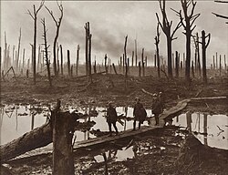 Bosque de Chateau, en Ypres, 1917 fotografía de Frank Hurley