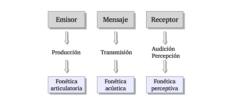 Esquema conceptual de la articulación y la cadena comunicativa