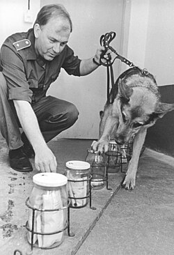 Perro policía en entrenamiento de labor preventiva