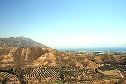 Olivares cercanos a Antimaquia en la isla de Cos