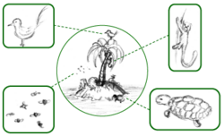Esquema simplificado de la fauna de una isla