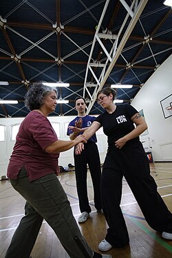 Dos alumnos practicando Tuishou bajo supervisión