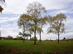 El Upper Norwood Recreation Ground, fuente del principal afluente del Effra.