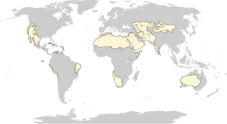 Distribución global de las principales zonas áridas y desérticas del planeta.