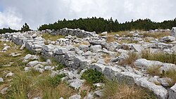 Ruinas del fuerte del Blockhaus