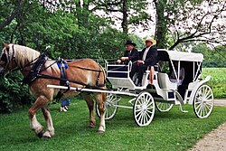 Coche de caballos tradicional