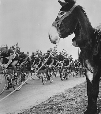 Ciclistas en el Giro de Italia 1957