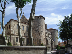 Conjunto monumental del Palacio Nuevo y la Catedral