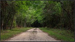 Bosque seco chaqueño en Argentina