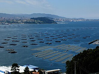 Vista panorámica de la Ría de Vigo