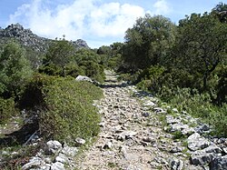 Calzada romana en el entorno del parque