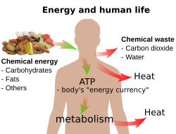 Diagrama de energía y vida