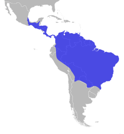 Mapa que muestra la distribución geográfica de Harpia harpyja