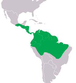 Mapa de distribución del caimán de anteojos