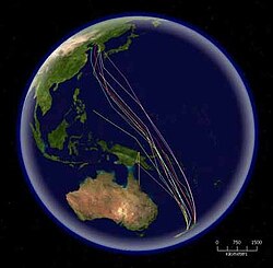 Mapa satelital de rutas migratorias de Limosa lapponica