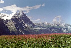 Paisaje alpino en Grosse Scheidegg, Cantón de Berna