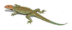 Reconstrucción de Hylonomus, uno de los primeros reptiles del Carbonífero.