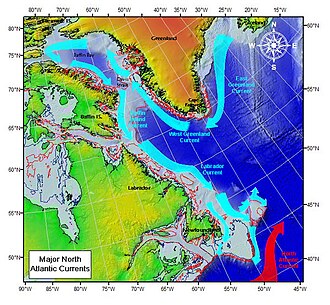 Representación visual de la corriente de Labrador