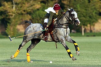 Mujer iraní practicando polo.