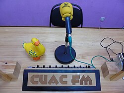 Micrófono de estudio instalado en el Estudio José Couso de la emisora.