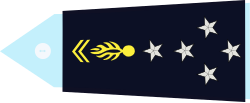 Insignia de rango de oficial general