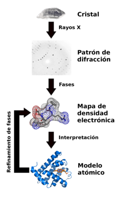 Esquema ilustrativo del proceso de determinación de estructuras mediante cristalografía de rayos X.