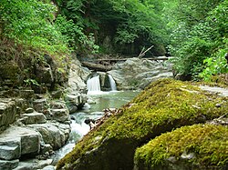 Bosque templado húmedo en Azerbaiyán