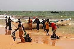 Pescadores locales trabajando en las costas mauritanas