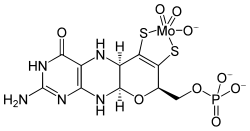 Estructura del cofactor de molibdeno