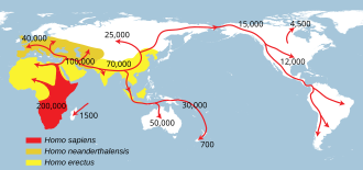 Etapas sucesivas de llegada del homo sapiens a diferentes regiones tras en función de la salida de África