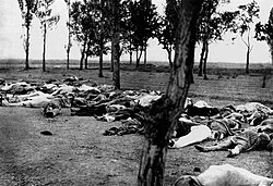 Fotografía histórica sobre el genocidio armenio