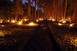 Tumbas iluminadas con velas votivas
