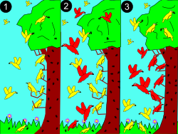 Diagrama de forrajeo de dos especies de aves en un árbol