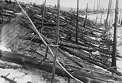 Ilustración o fotografía relacionada con el evento de Tunguska