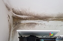 Moho de las paredes en entornos interiores